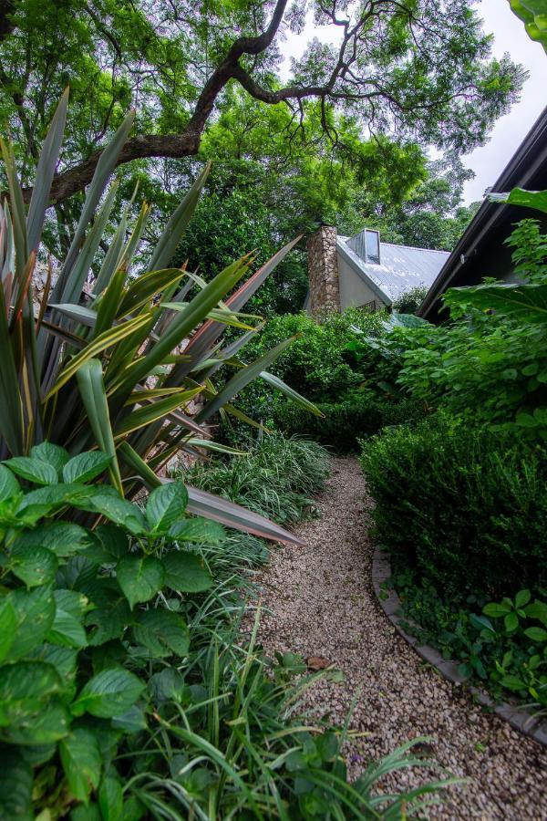 Festina Lente Guesthouse Johannesburg Luaran gambar