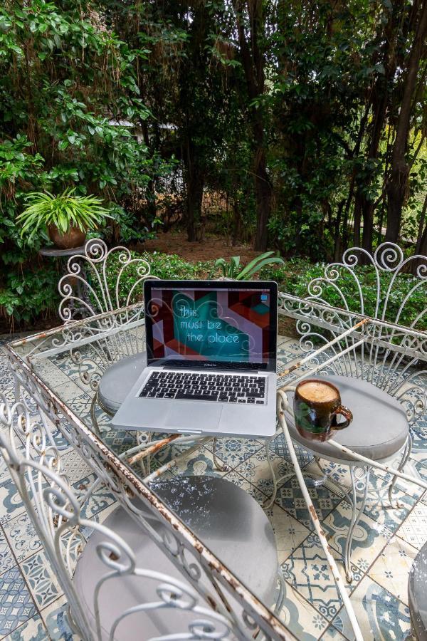 Festina Lente Guesthouse Johannesburg Luaran gambar